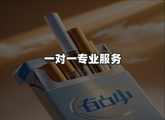 专业优势